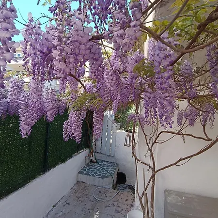 Center By Harbour First Floor Casa de Férias *