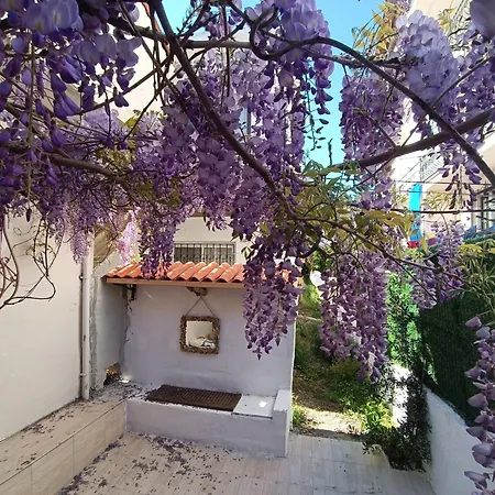 City Center By Harbour First Floor Marmaris