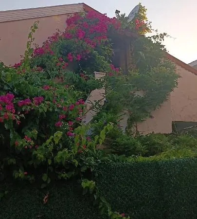 Center By Harbour First Floor מרמריס